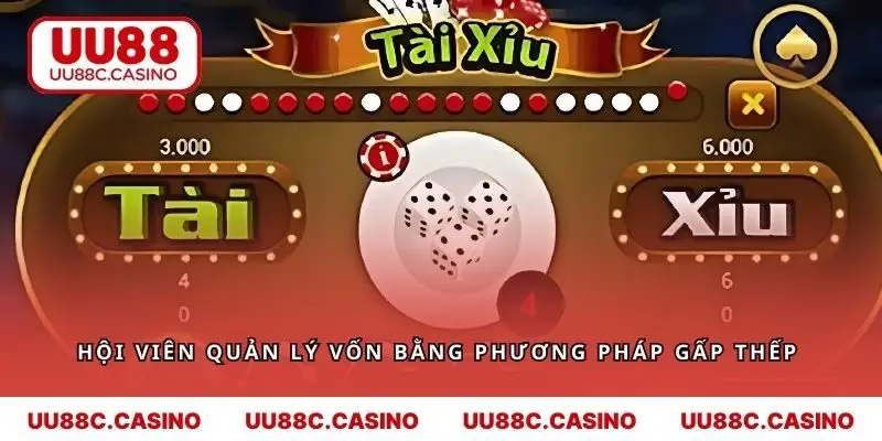 Hội viên quản lý vốn bằng phương pháp gấp thếp